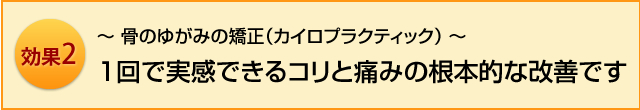 骨のゆがみの矯正（カイロプラティック）一回で実感できるコリと痛みの根本的な改善です